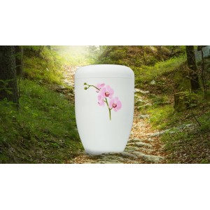 Biodegradable Cremation Ashes Funeral Urn / Casket – THAI PINK ORCHID